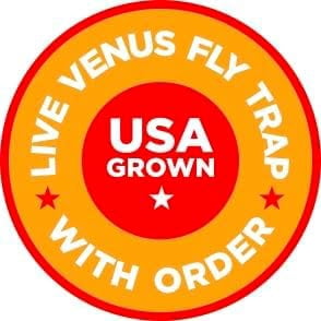 Live Venus Flytrap Kit with Carnivorous Plant Food, Tweezers, Peat Pellets & 7.5" Clear Tank – 2 Flytrap, Bug-Eating Plants for Indoor STEM Learning