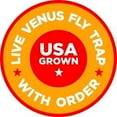 thumbnail image 2 of Live Venus Flytrap Kit with Carnivorous Plant Food, Tweezers, Peat Pellets & 7.5" Clear Tank – 2 Flytrap, Bug-Eating Plants for Indoor STEM Learning, 2 of 6