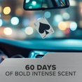 thumbnail image 4 of Driven Novelty Air Freshener (Black Out Scent, 2 Pack), 4 of 5