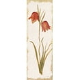 thumbnail image 2 of Blum, Cheri 13x32 Black Ornate Wood Framed with Double Matting Museum Art Print Titled - Red Tulip Panel Light, 2 of 4