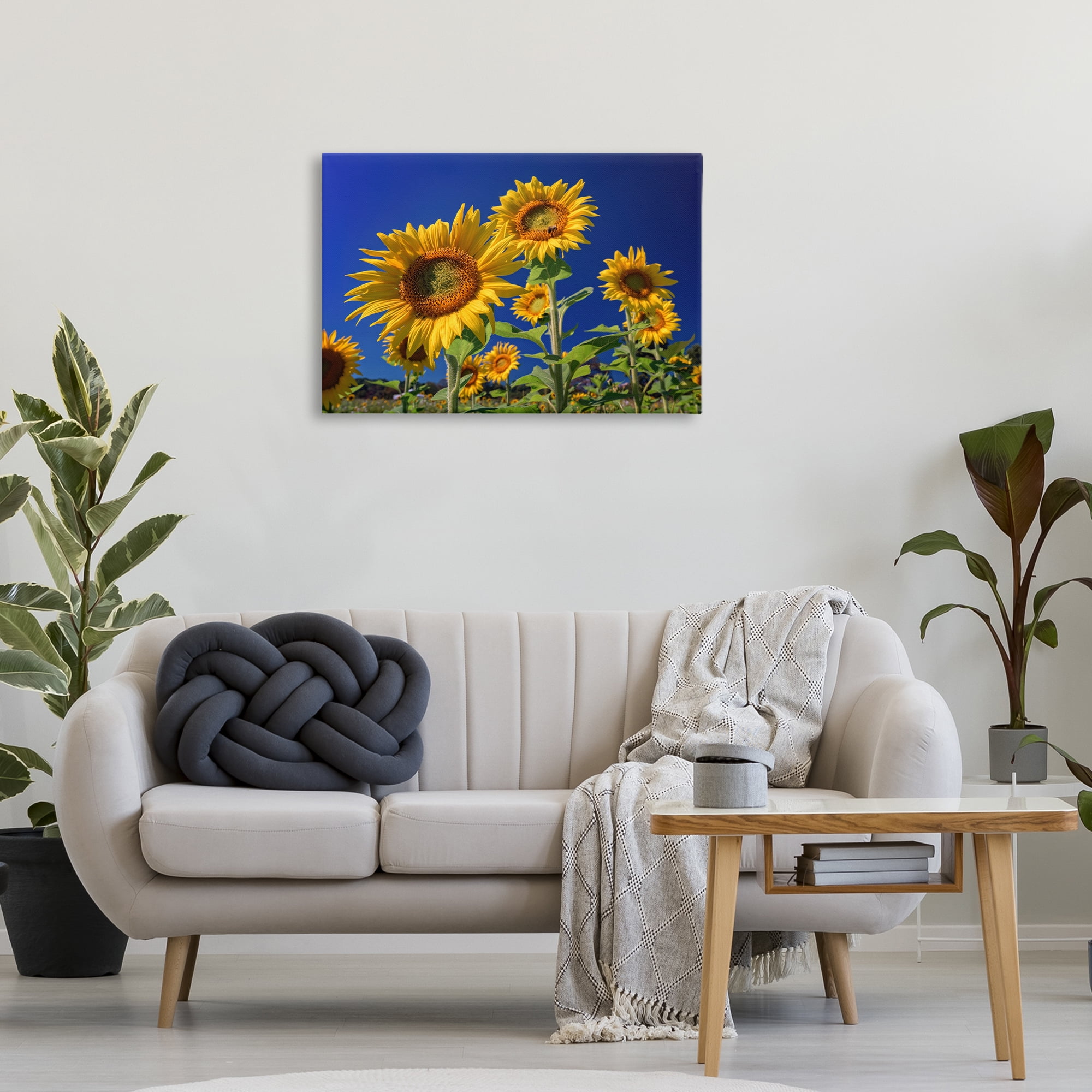 Stupell Industries Bright Sunflowers with Blue Sky Plants & Flowers Photography Wrapped Canvas Art Print Wall Art, 30 x 20