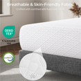 Renwick 12 inch Twin Size Memory Foam Mattress with Green Tea Scent