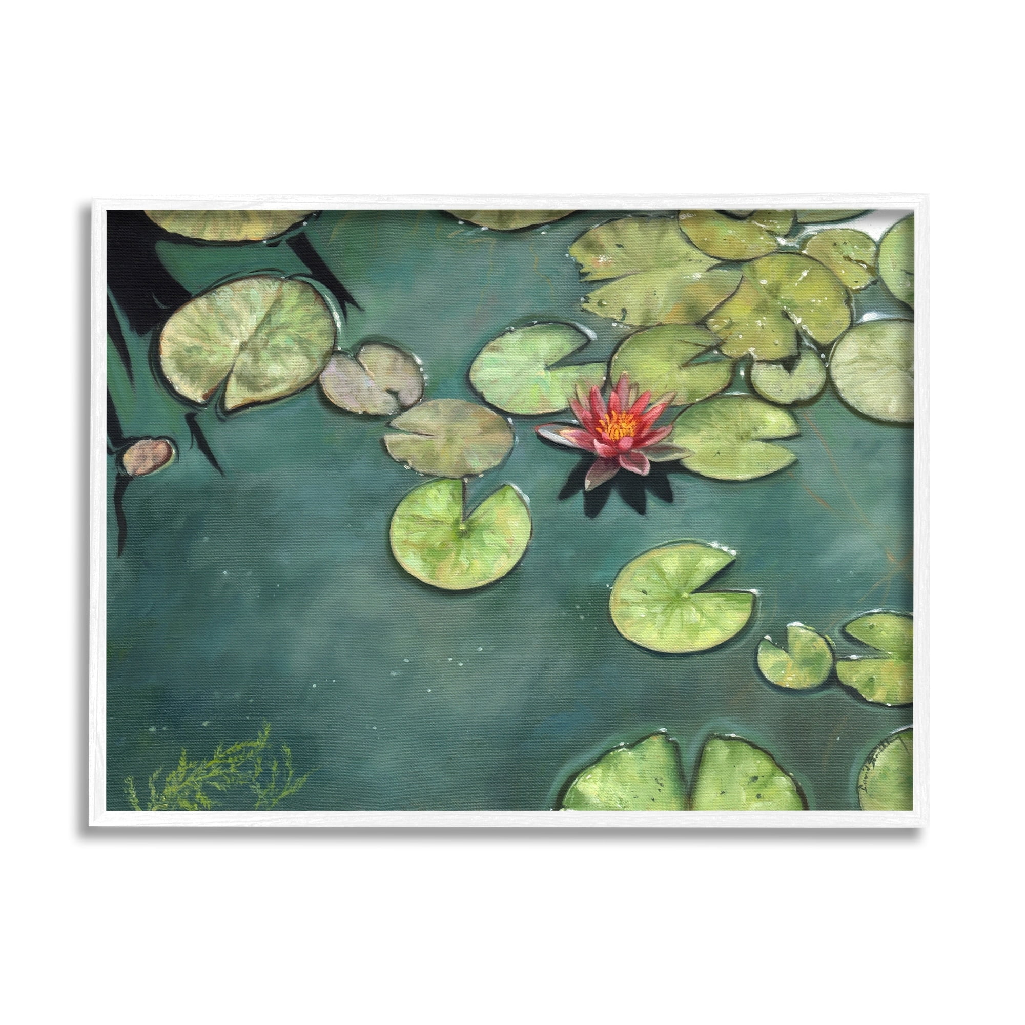 Stupell Industries Pond Lily Lotus Blossom Floating Peaceful Botanicals Painting White Framed Art Print Wall Art, Design by David Stribbling