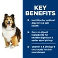 thumbnail image 5 of Hill's Science Diet Sensitive Stomach & Skin Tender Turkey & Rice Stew Wet Dog Food, 12.5oz Can 12pk, 5 of 8