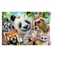 thumbnail image 3 of Ceaco Panda and Friends Selfies 500-Piece Interlocking Jigsaw Puzzle for Adults Ages 14+, 3 of 5