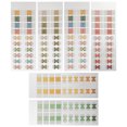 thumbnail image 1 of 6 Sheets Colorful Tabs Sticky Tabs Page Markers Portable Book Tabs for Office Gift, 1 of 8