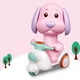 thumbnail image 1 of Juguetes de cuerda para animales, juguete educativo para , juguete para caminar, saltar, mecanismo de relojería, juguetes para perros extraíbles Rosa CUTICAT Juguetes de cuerda, 1 of 8