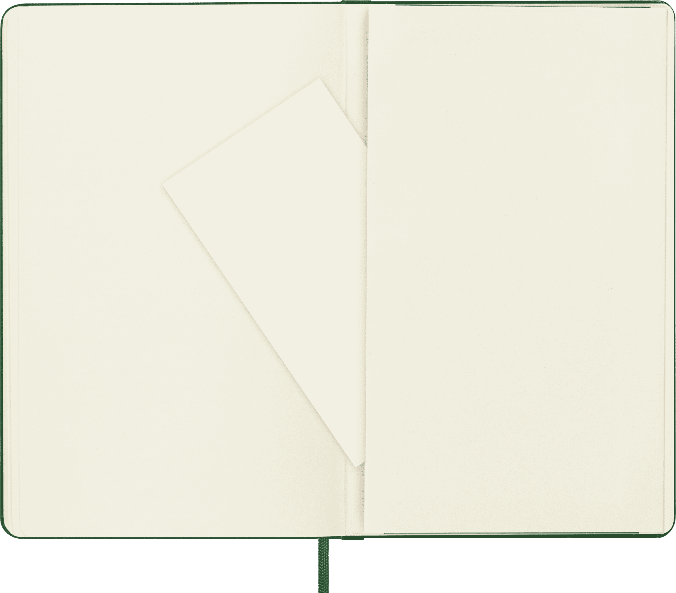 Moleskine Classic Notebook, Hard Cover, Large (5" x 8.25"), Dotted, Myrtle Green