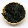 thumbnail image 2 of 10g Artificial Fake Craft Moss,Natural Look Faux Moss Alternative for Indoor Plants,Real Touch Moss for Potted Plant Fairy Garden Vase Filler Terrarium Centerpieces Forest Style Decor,Black, 2 of 2