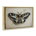 thumbnail image 4 of Stupell Industries Dark Winged Moth Animals Painting Gold Floater Framed Canvas Art Print Wall Art, 31 x 21, 4 of 10