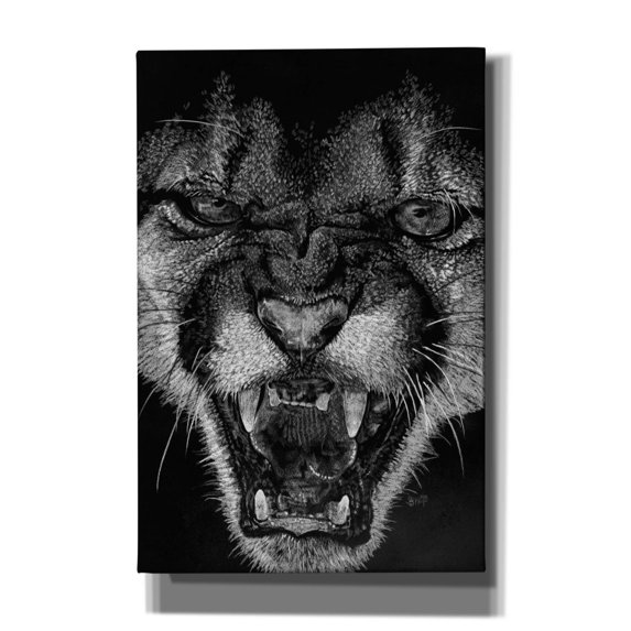 Epic Graffiti 'Fury' by Barbara Keith, Canvas Wall Art, 40"x60"