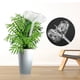 thumbnail image 3 of Heaveant Riego automático de Plantas, riego automático, Plantas de Flores en Forma de Mariposa, riego automático, decoración de Ayuda para jardinería, 3 of 5
