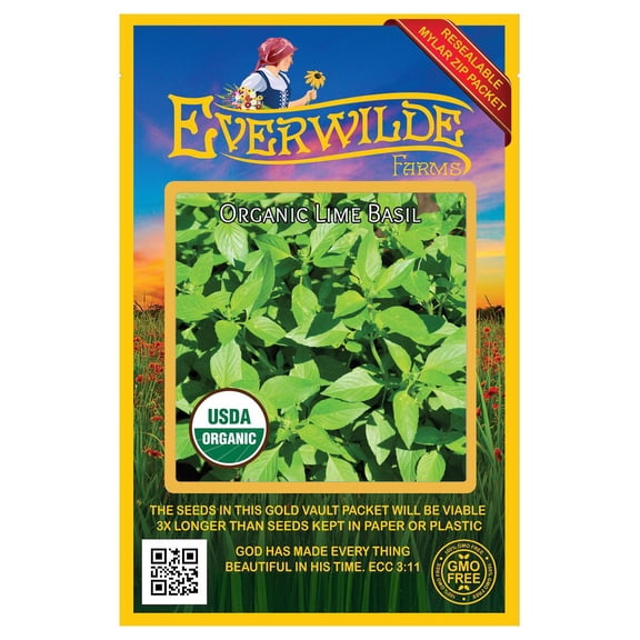 Everwilde Farms - 1000 Organic Lime Basil Herb Seeds - Gold Vault Jumbo Bulk Seed Packet