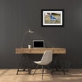 thumbnail image 3 of Day, Richard and Susan 14x11 Black Ornate Wood Framed with Double Matting Museum Art Print Titled - Blue Jay-Cyanocitta cristata-bathing Marion County-Illinois, 3 of 4