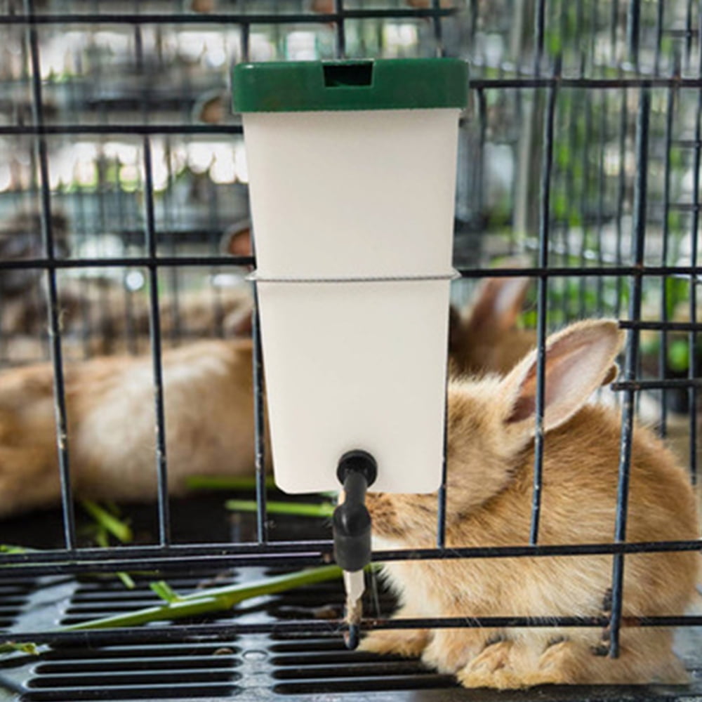 Rabbit water dispenser outlet