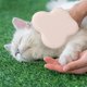 thumbnail image 5 of Guantes 2 En 1 Para El Aseo De Mascotas. Adorables Guantes Con Forma De Cabeza De Gato Para El Aseo Y Masaje De Mascotas. Aseo Para Perros, Gatos Y Conejos Con Pelo Húmedo O Seco. Guantes Para Pelo, 5 of 5