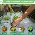 thumbnail image 6 of Antifreeze Floating Row Cover 10' × 52' Non-woven Fabric Plant Cover Greenhouse Frost Protection, 6 of 11