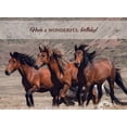 thumbnail image 4 of Birthday - Wild Horses - Assorted Birthday Cards, 4 of 10