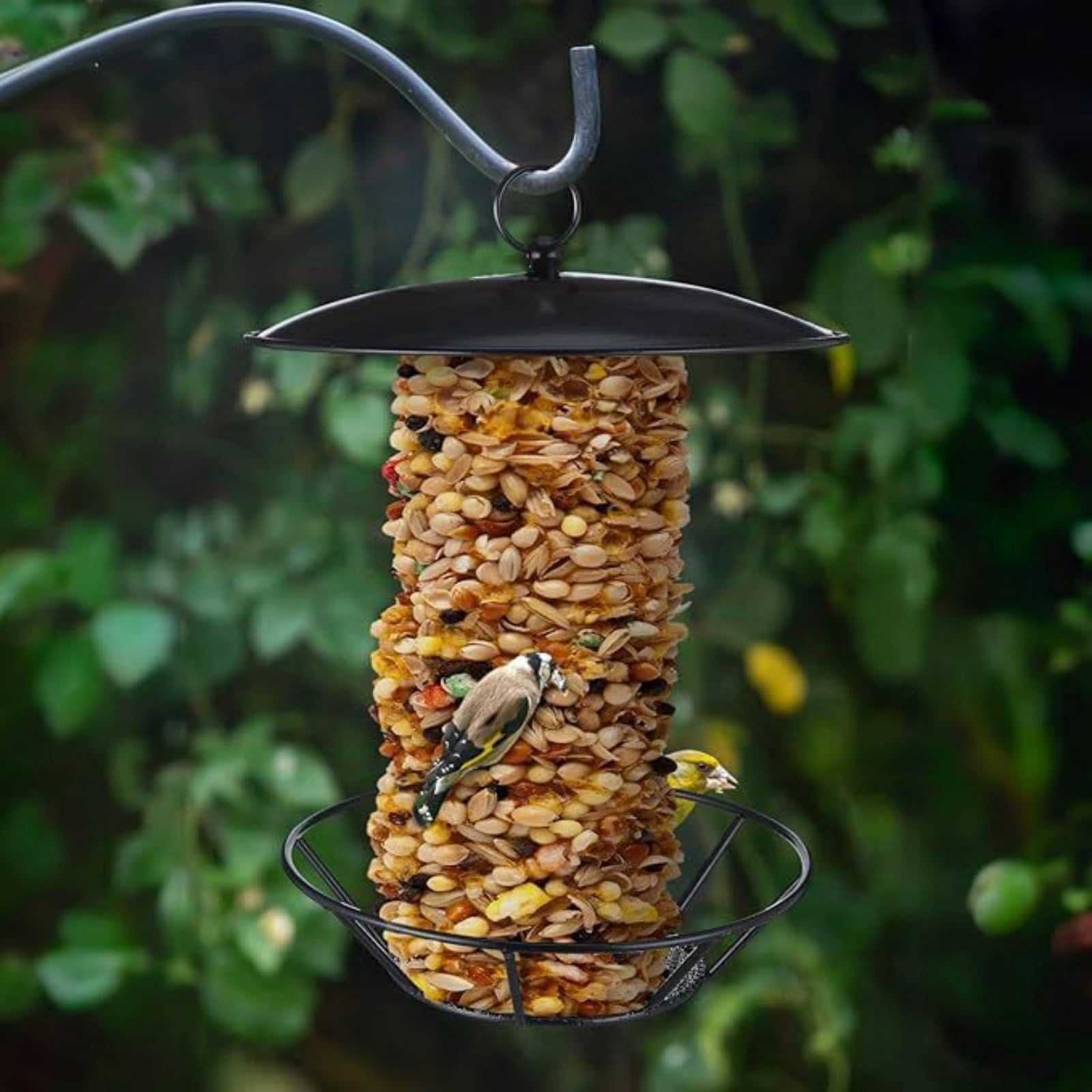 WKSCLPAI Wrought Iron Bird Feeder Hanging Outdoor Squirrel-proof with Seed Cake Holder for Backyard Garden Heavy Duty Rust Proof Metal Water-proof Wild Bird Feeding Station