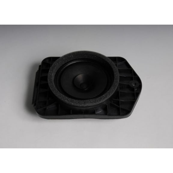 ACDelco 25937105 GM Original Equipment Rear Side Door Radio Speaker