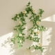 thumbnail image 5 of Enredadera Artificial Verde Colgante, Planta Decorativa De Ratn Para Interiores, Flores Artificiales Para Sala De Estar, Enredaderas Para Pared, Decoracin Moderna Para El Hogar, Para, Ukhbmc, 5 of 8