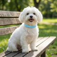 thumbnail image 4 of Mumup 3Pack Small Dog Collars Bling Puppy Collars Diamond Pet Collars PU Leather Sparkly Rhinestone Glitter Adjustable Jewelry Neck Collars for Small Pet, 4 of 7