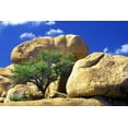 thumbnail image 2 of Taylor, Douglas 18x13 White Modern Wood Framed Museum Art Print Titled - Texas Canyon Rocks II, 2 of 4