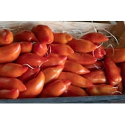 Tiren San Marzano Paste Tomato Premium Seed Packet