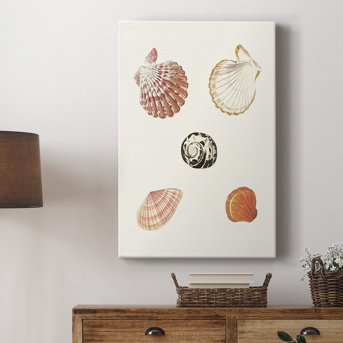 Pastel Knorr Shells VIII Premium Gallery Wrapped Canvas - Ready to Hang