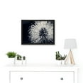 thumbnail image 2 of Photo Nature Plant Flower Black White Beautiful Home A4 Artwork Framed Wall Art Print, 2 of 4