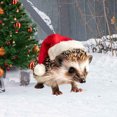 thumbnail image 3 of dajkiuy Clearance Christmas Yard Signs Hedgehog Stakes with Scarf & Santa Hat Xmas Farm Animal Sculpture Stakes Ornaments for Outdoor Garden Backyard Patio Lawn, 3 of 4