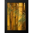 thumbnail image 2 of Millet, Karyn 17x24 Black Modern Framed Museum Art Print Titled - Bamboo II, 2 of 5