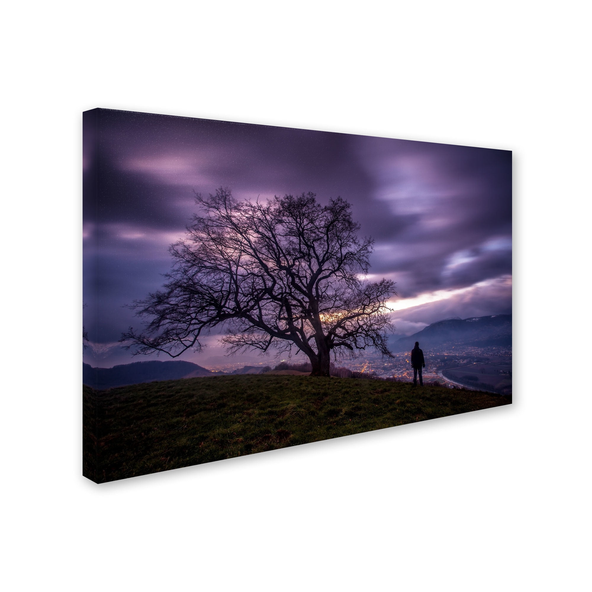 Trademark Fine Art "The Tree of Love Grenoble" Canvas Art by Mathieu Rivrin