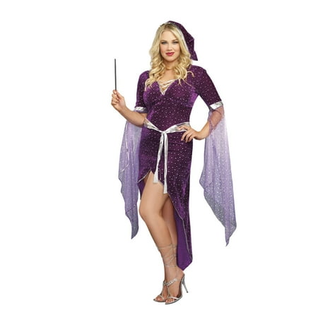 Plus Size Sexy Sorcery & Seduction Costume by Dreamgirl