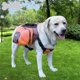 thumbnail image 2 of Perro Plegable Portátil De Viaje Impermeable Al Aire Libre Naranja M Sunnimix Perro Backpack, 2 of 8