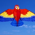 thumbnail image 4 of TFixol Cerf-Volant Perroquet Vibrant pour Enfants - Cerf-Volant Animal à Longue Queue Coloré en Rouge, Bleu, Jaune - Amusement Extérieur pour Tous Âges, 4 of 6