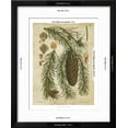 thumbnail image 3 of Vintage Conifers I, Framed Art Print Wall Art Sold by Art.Com, 3 of 6