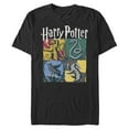 thumbnail image 2 of Men's Harry Potter Hogwarts Houses Vintage Collage  Graphic Tee Black Small, 2 of 6