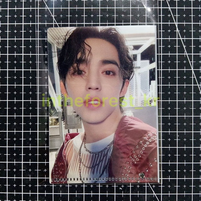 Selfie MINI L HOLDER SEVENTEEN FML beneficio CARVER KTOWN4U (SCOUPS JEONGHAN JOSHUA JUN WONWOO WOOZI HOSHI MINGYU DK THE8 SEUNGKWAN VERNON DINO)