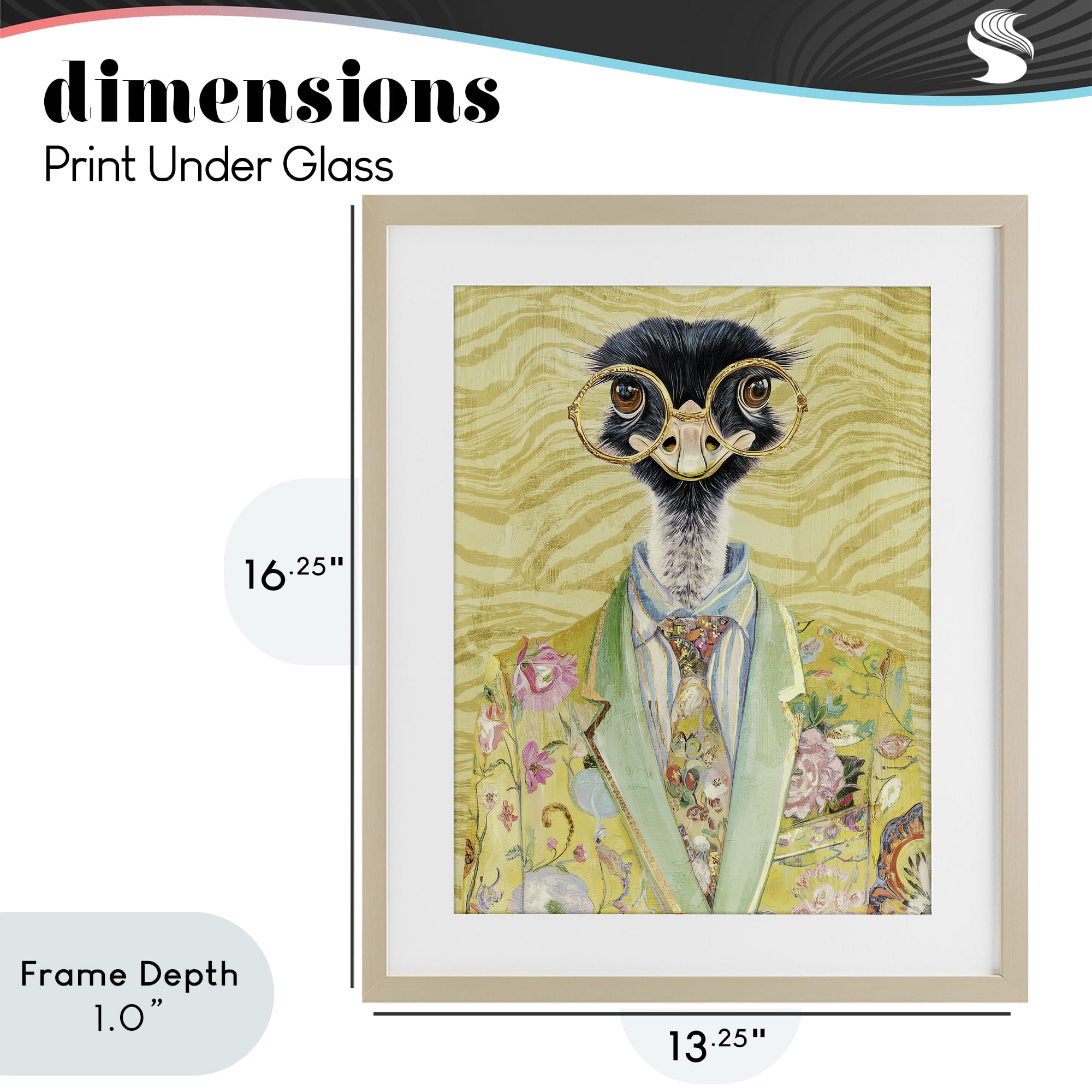 Stupell Industries Dandy Ostrich Portrait Birch Framed Print Under Glass, design by Svetlana Aleynikova