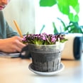 thumbnail image 1 of Phenofice 1 Set of Balcony Planter Transparent Plastic Rounded for Outdoor Use, 1 of 8