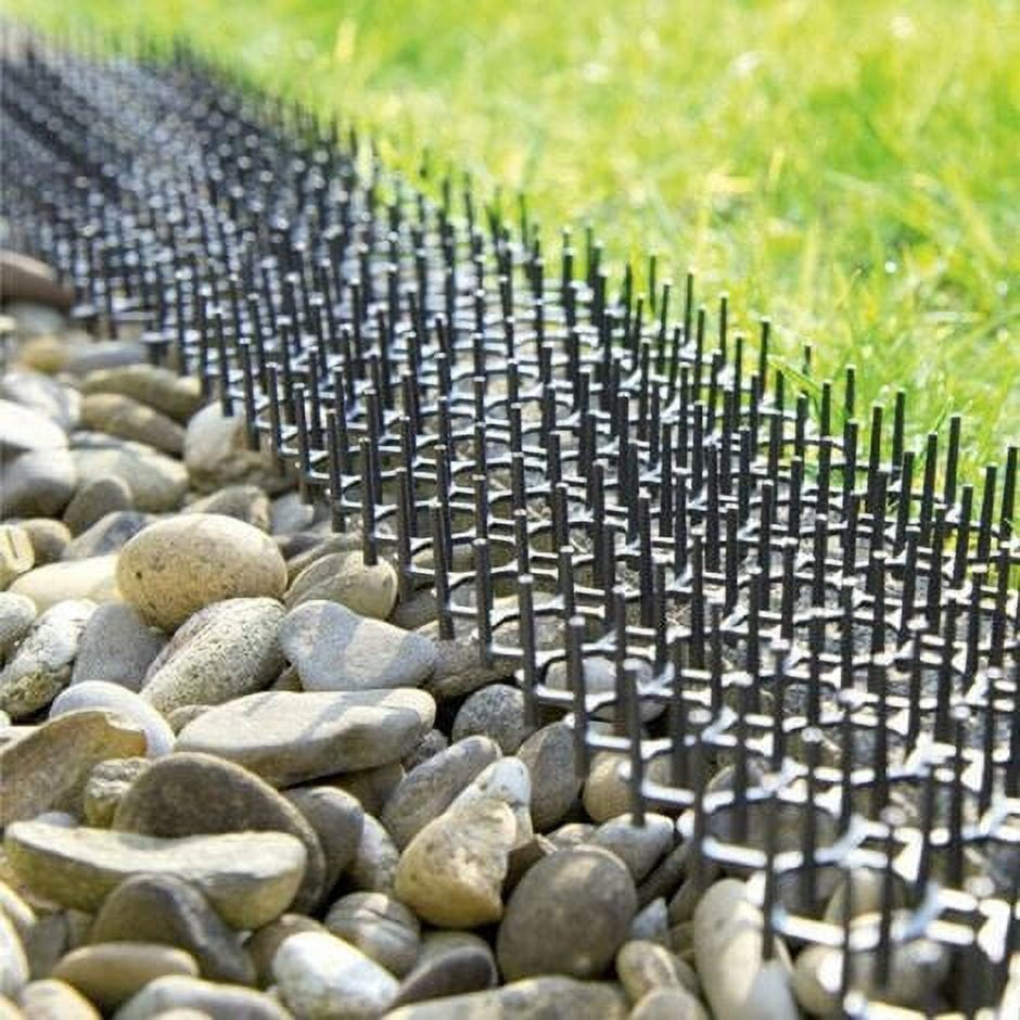 Set of 5 anti pest grids   Anti pigeon, bird, cat spike   Natural and ecological repellent for planters and vegetable gardens   Immediate protection   Cuttable and modular