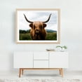 thumbnail image 3 of Highland Majesty - Scotland United Kingdom Photography Highland Cow Animal Wildlife Rustic Farmhouse Countryside Nature Unframed Wall Art Print 9 x 12 inches, 3 of 4