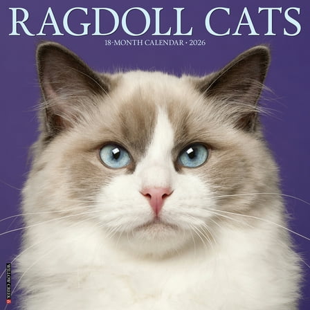 Ragdoll Cats 2026 Wall Calendar, (Paperback)
