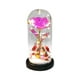thumbnail image 4 of Adorno de Luz Nocturna con Rosa Acrílica Navideña y Diamantes de Imitación Dorados, 4 of 7