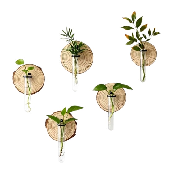 Wall Mounted Glass Planter, Natural Wood Slice Single Test Tube Hydroponic Vase, Hanging Plant Propagation Station for Indoor Home Decor and Office Wall Art Decoration
