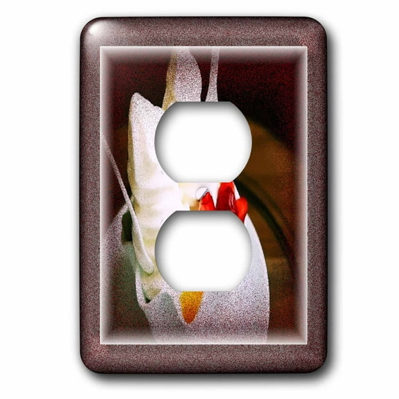 3dRose, Frozen Yogurt, 2 plug outlet cover