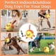 thumbnail image 4 of Balón de fútbol para perros QDAN Duck para cumpleaños de cachorros de tira y afloja, 4 of 7