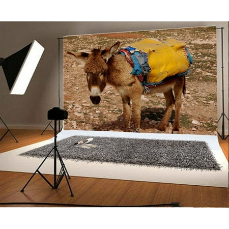 HelloDecor Polyster 7x5ft Rustic Animals Donkey Backdrop Weathered Rock Stones Green Grass Nature Outdoor Travel Photography Background Kids Adults Photo Studio