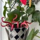thumbnail image 5 of ExquisiteOctopus Tentacle Plant Stakes, Set of 7 Resin Sea Monster Tentacles for Planters, Nature & Outdoors Themed Garden Decorations, 5 of 5